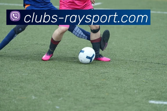 雷竞技平台品牌故事