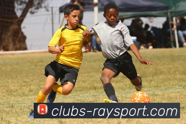 雷竞技平台服务体系